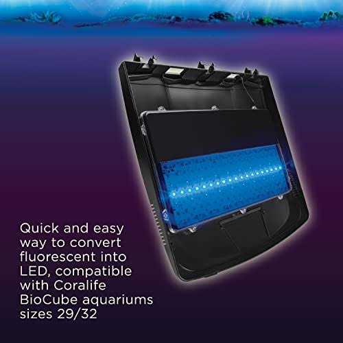 LED Replacement Canopy Size 29 and 32 I84508