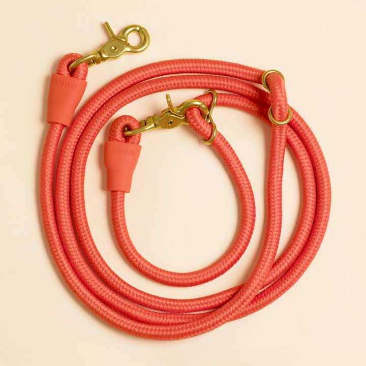 Pet Leash C3914