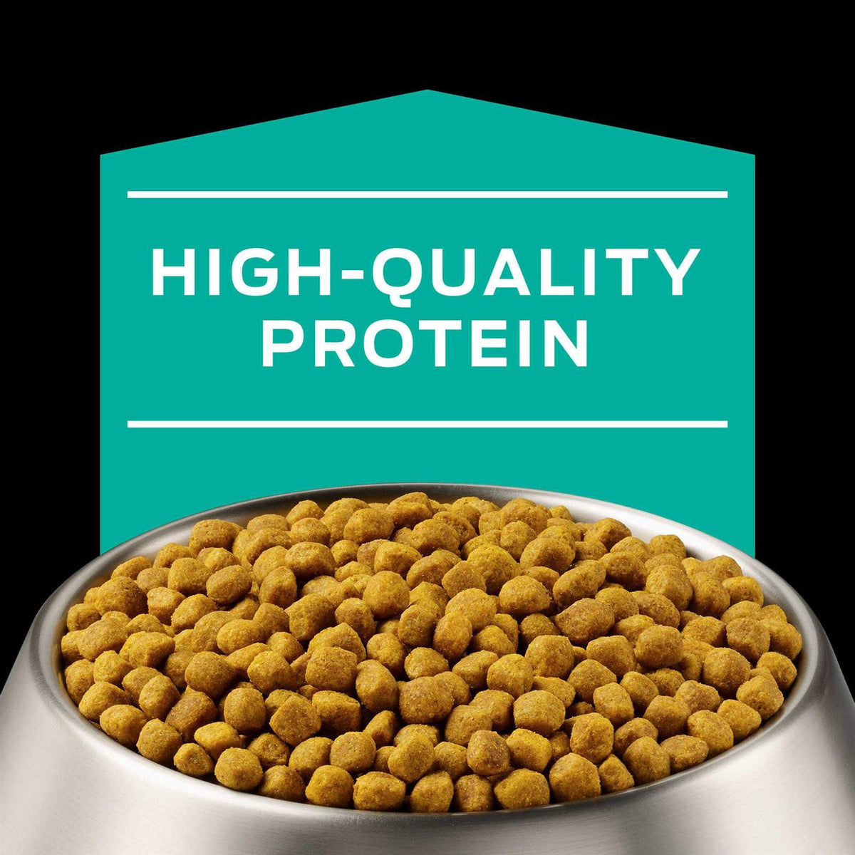 Gastroenteric Formula Dry Dog Food P711