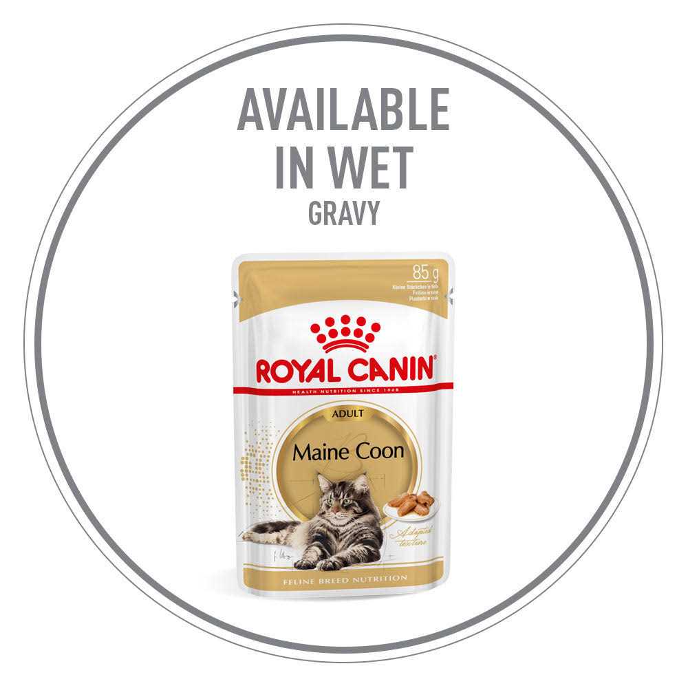 Maine Coon Dry Cat Food G98929