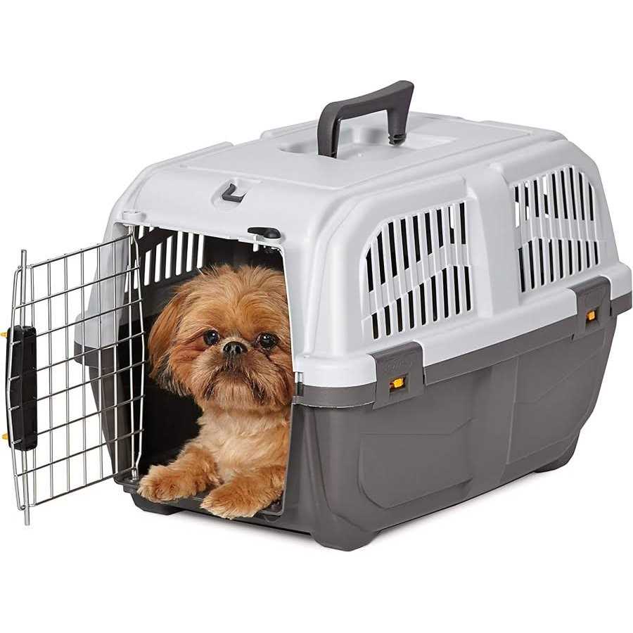 Plastic Travel Carrier B8437