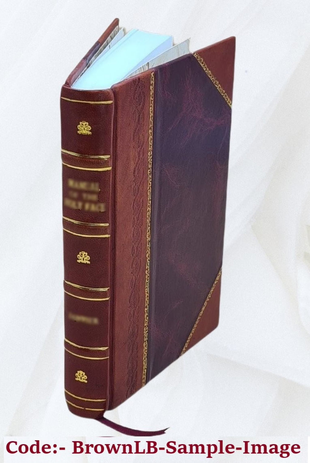 Leather Bound Book V493733