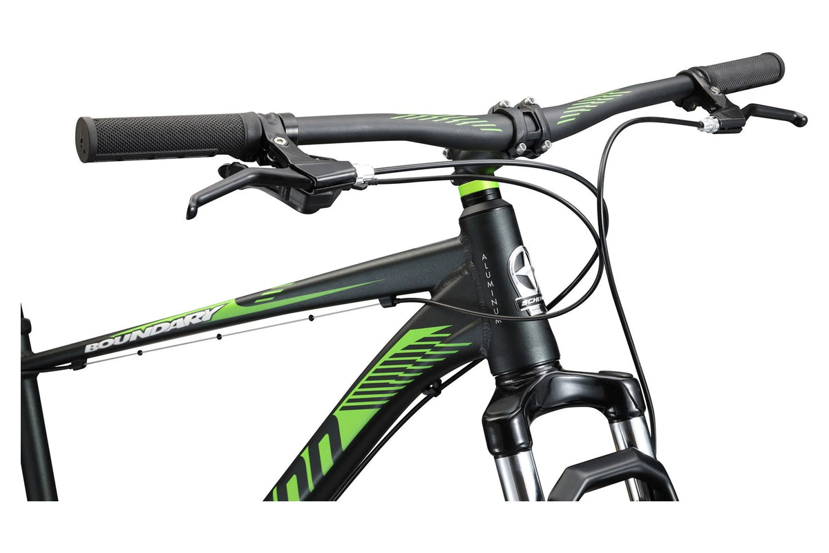 29-in. Mountain Bike D135