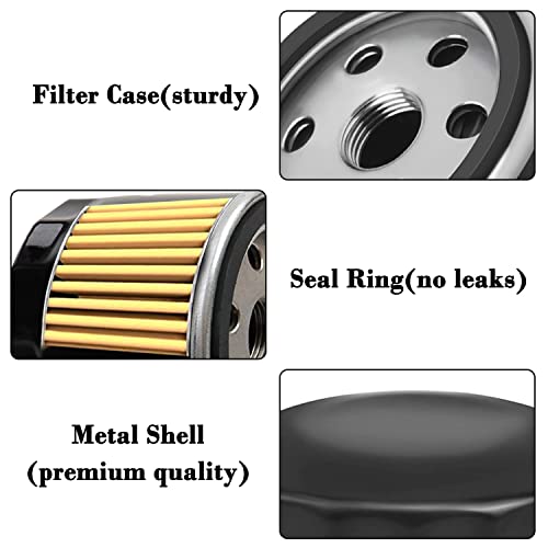 2 Pack Oil Filter T308281