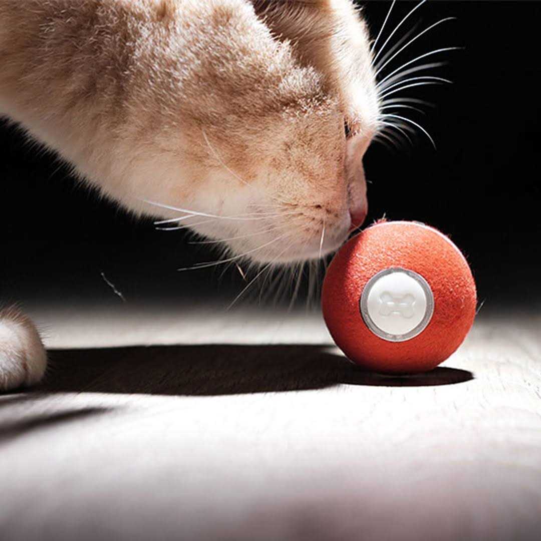 Interactive Cat Toy 1.7 Inch T996