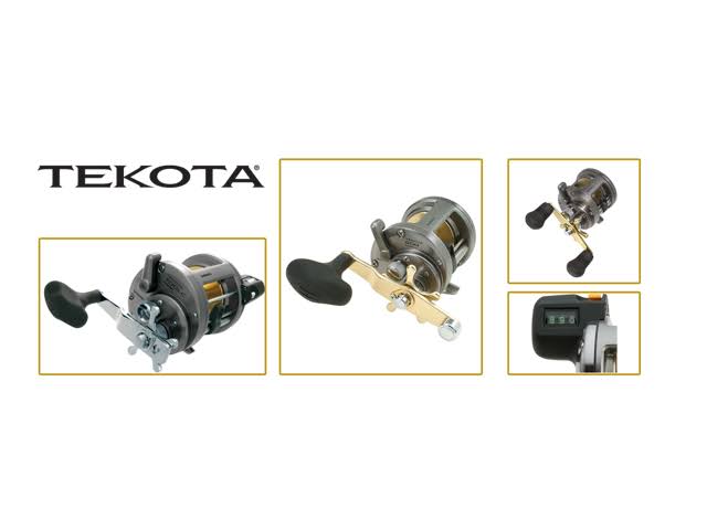 Saltwater Casting Reel E423