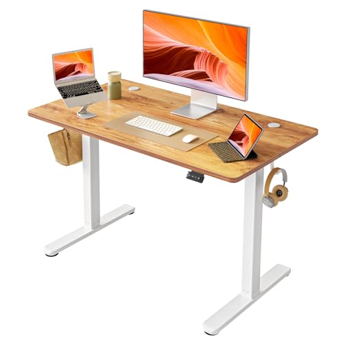 40 x 24 Inch Electric Standing Desk K66682
