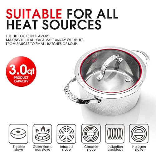 Stainless Steel Stockpot 10 Quart with Lid A81084