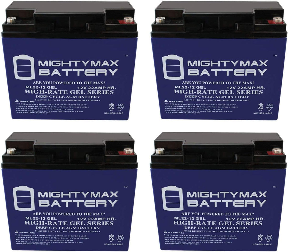 22 AH Gel Battery Pack of 2 F595