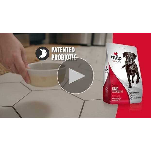 Grain-Free Turkey & Sweet Potato Recipe Dry Dog Food Z5398