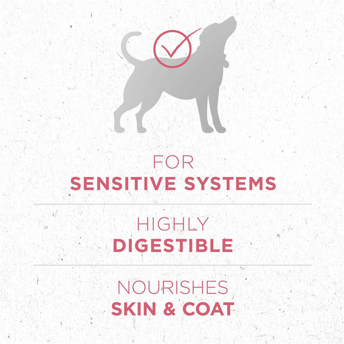 Skin & Coat Formula Dry Dog Food I51684