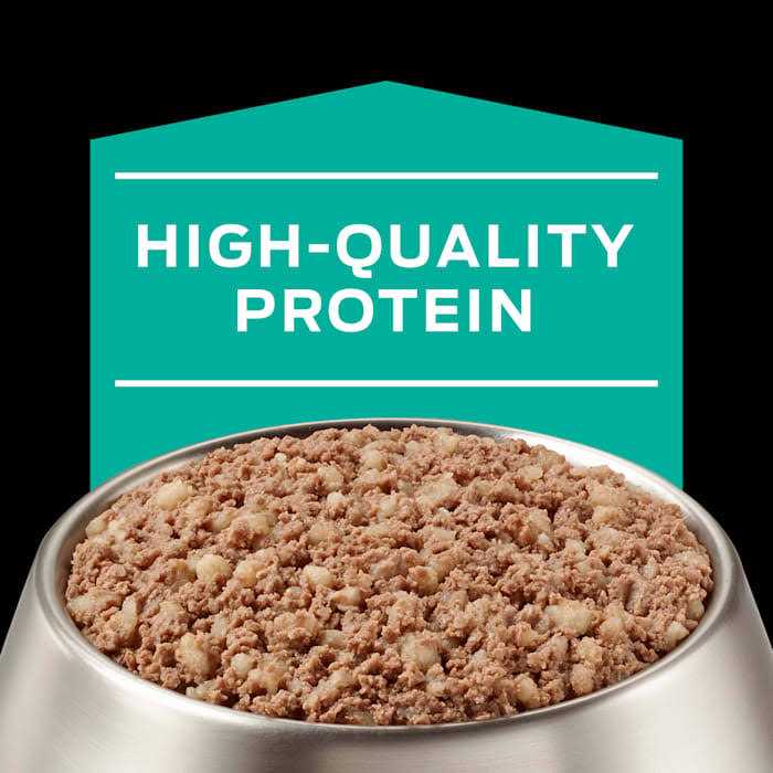 Gastroenteric Formula Canned Dog Food T19397