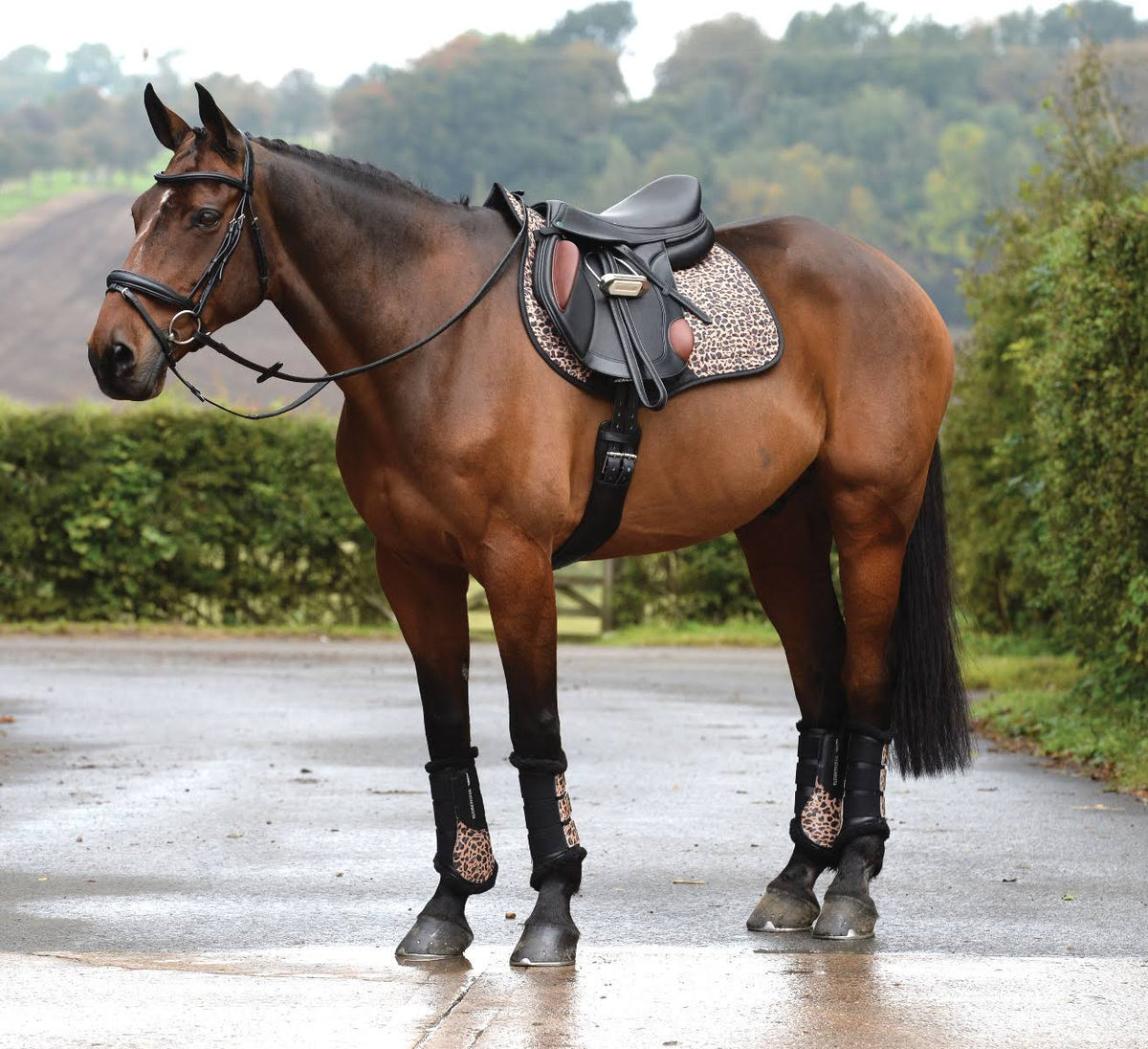 Brown Saddle Pad G986