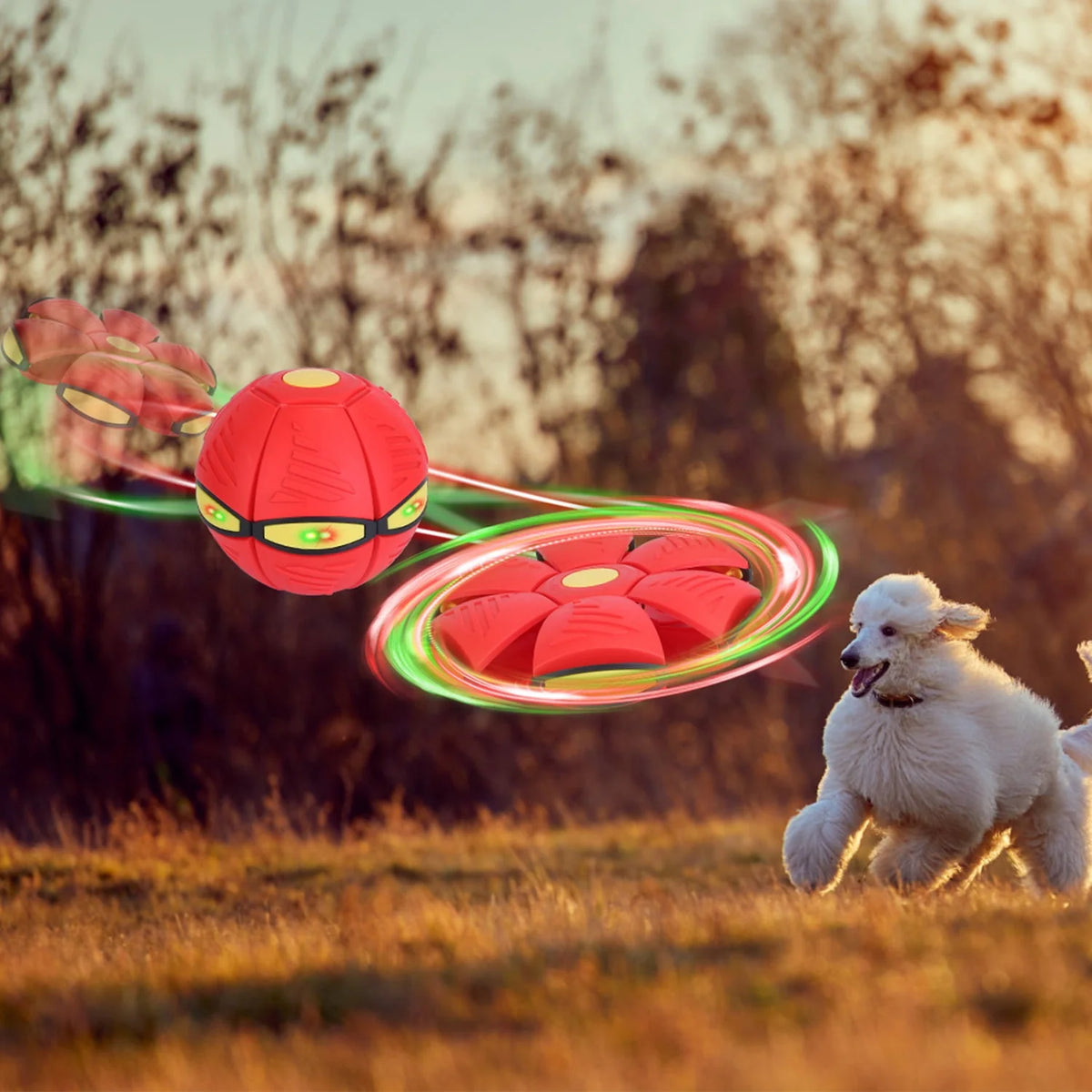 4 Pack LED Flying Saucer Ball Dog Toy O36107