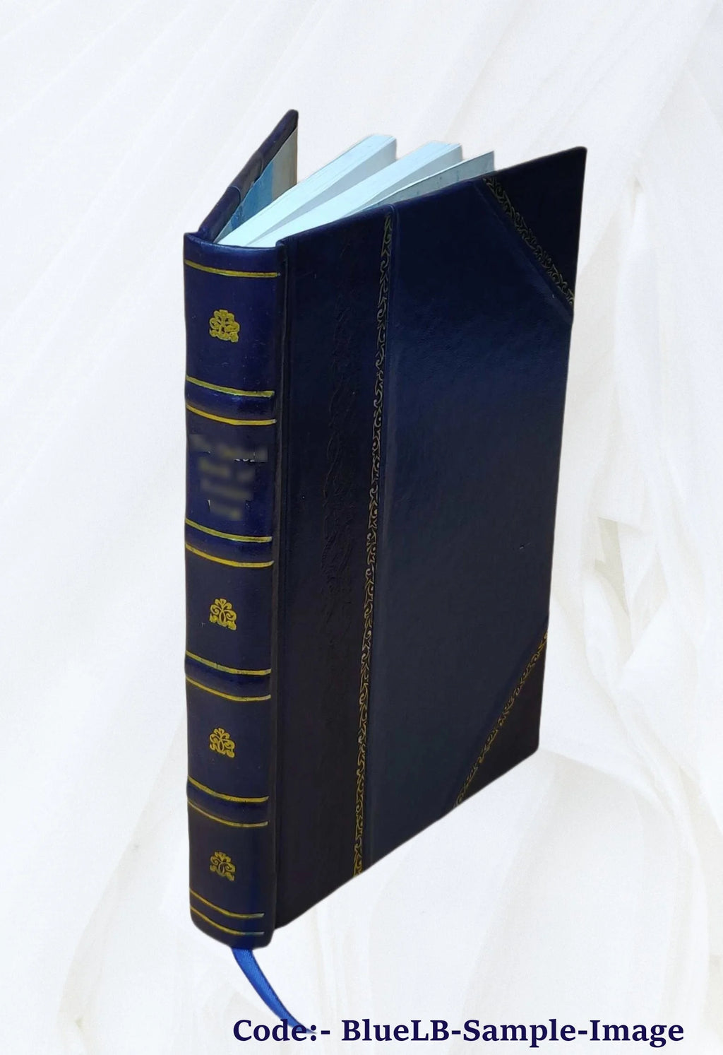 Leather Bound Book O564