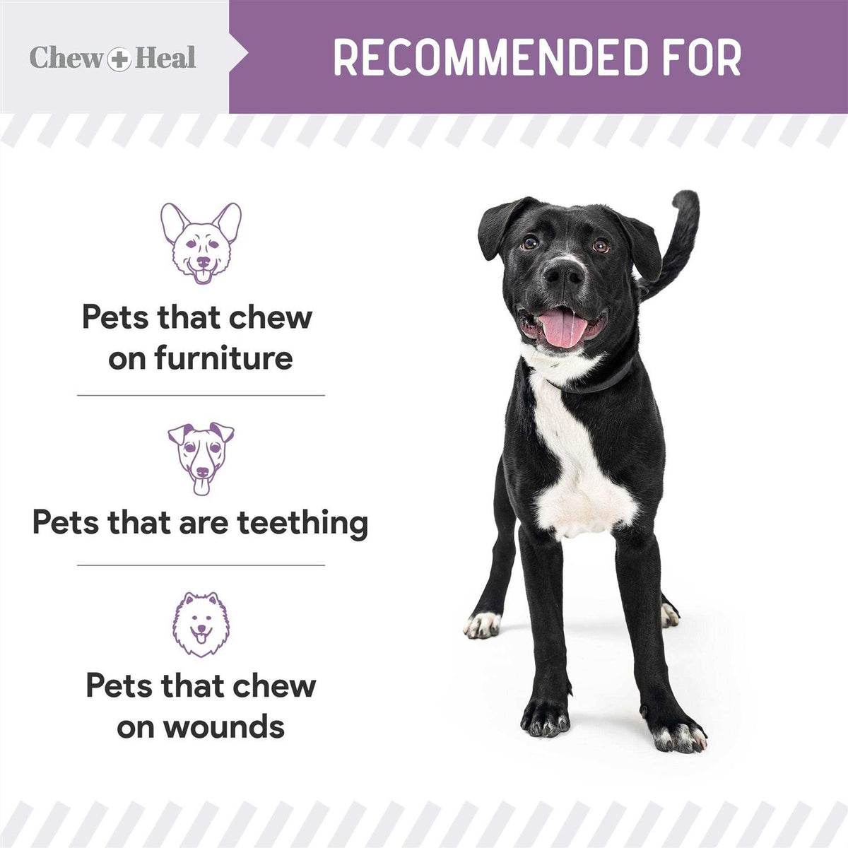 No Chew Spray Q29193