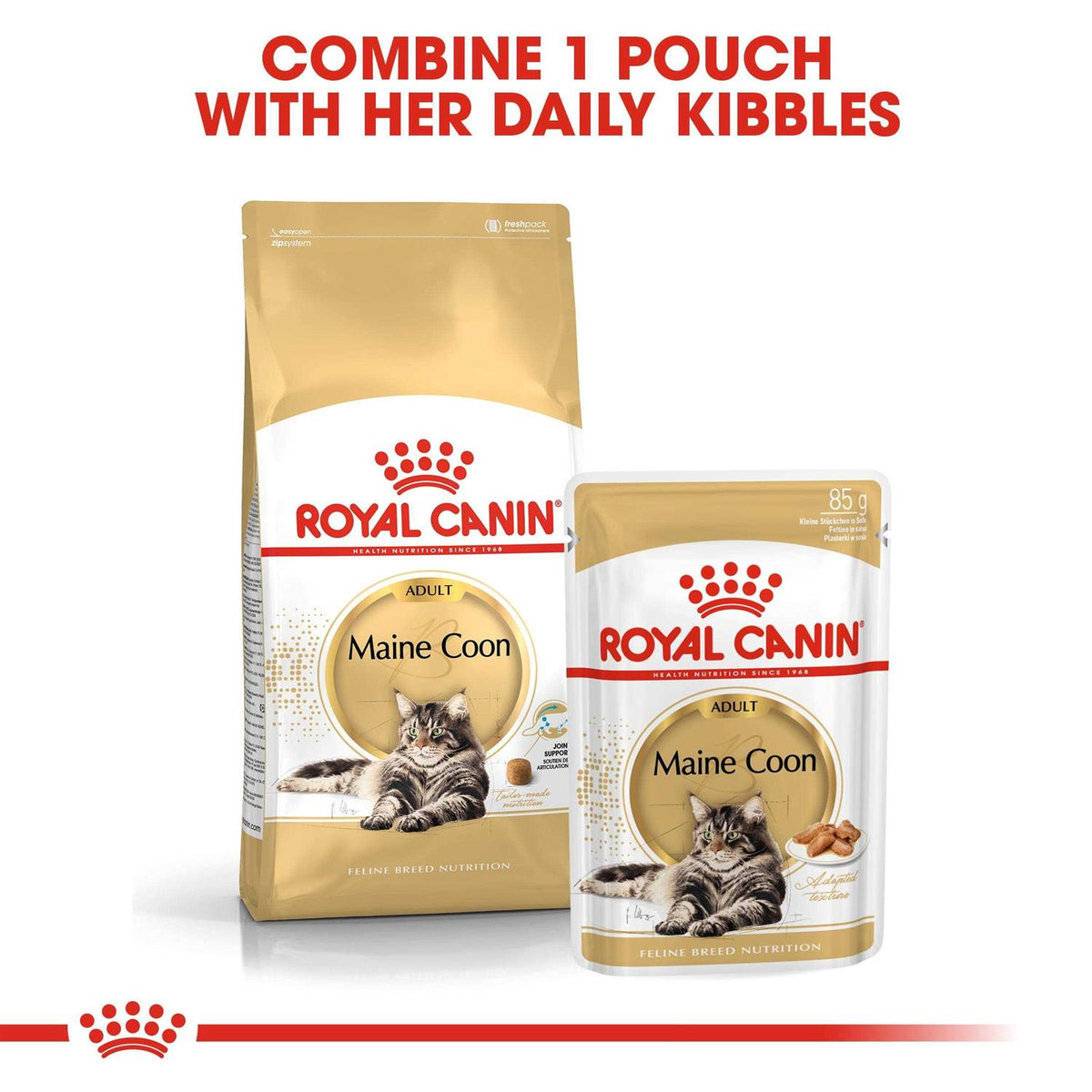 Maine Coon Dry Cat Food G98929