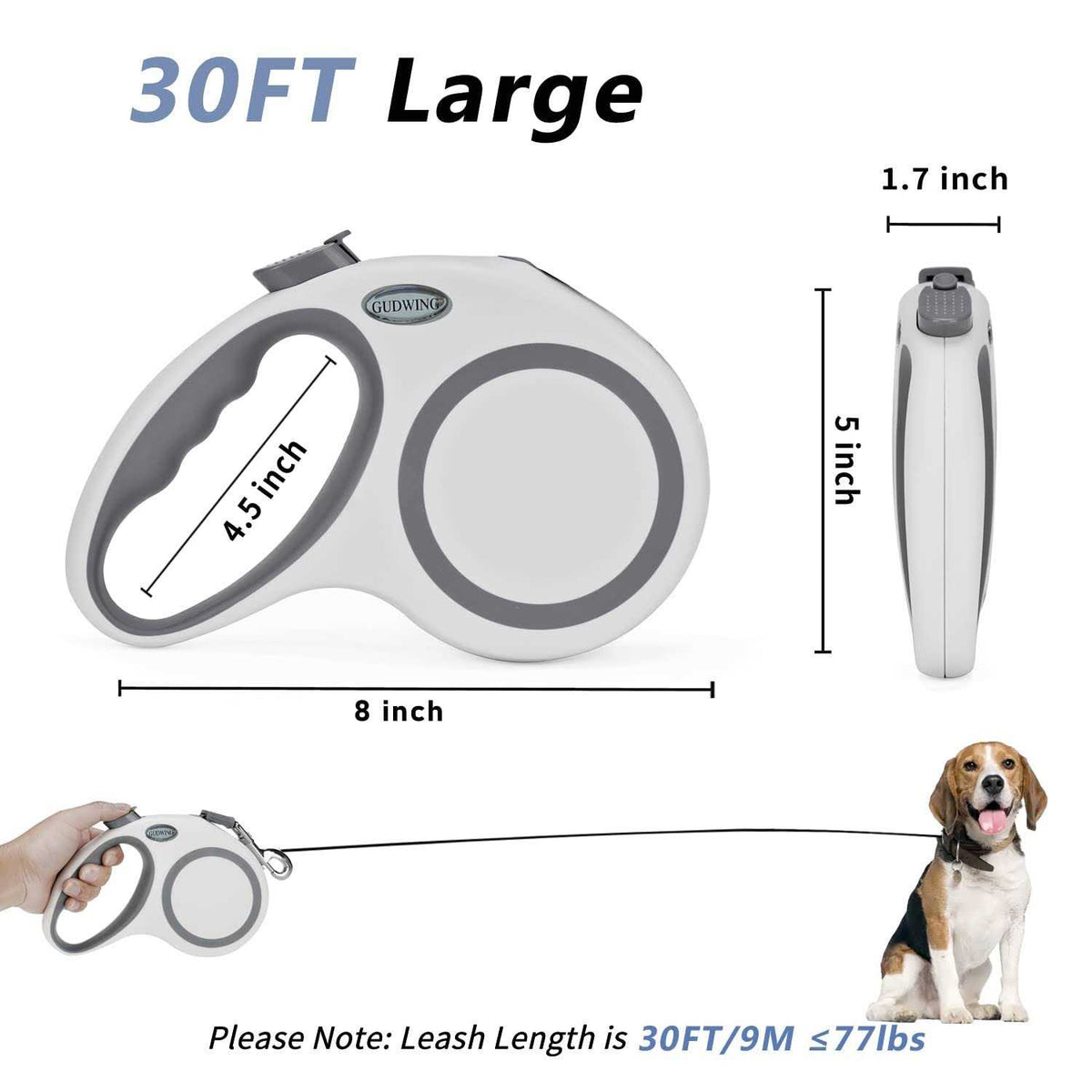 Retractable Dog Leash 30 Ft D558147
