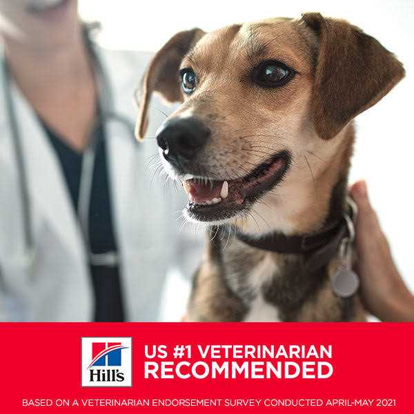 Sensitive Stomach & Skin Small Bites Dry Dog Food T26125