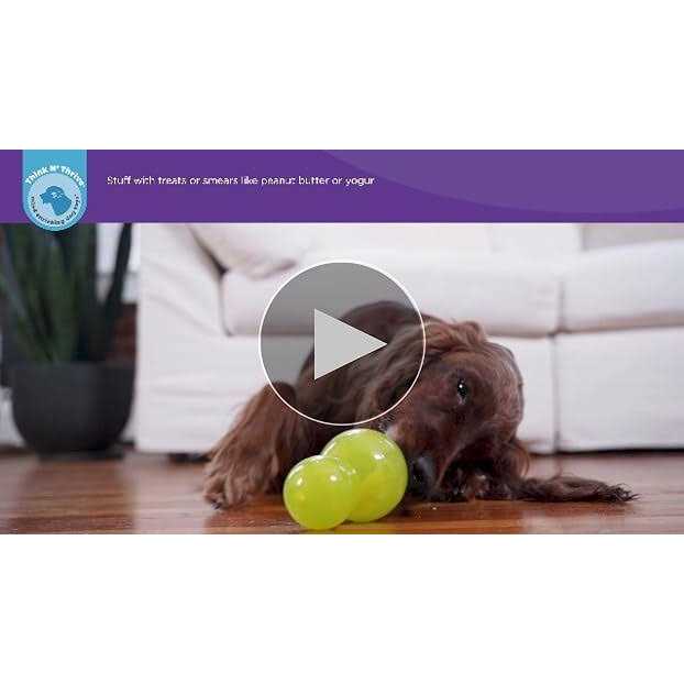 Green Dog Toy F783