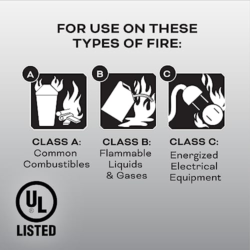 2-A:10-B:C 7.13 Lbs. Fire Extinguisher with Hose and Wall Mount E2612