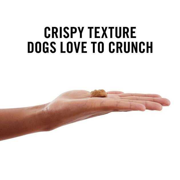 Peanut Butter Grain-Free Oven Baked Crunchy Biscuit Dog Treats Q4926
