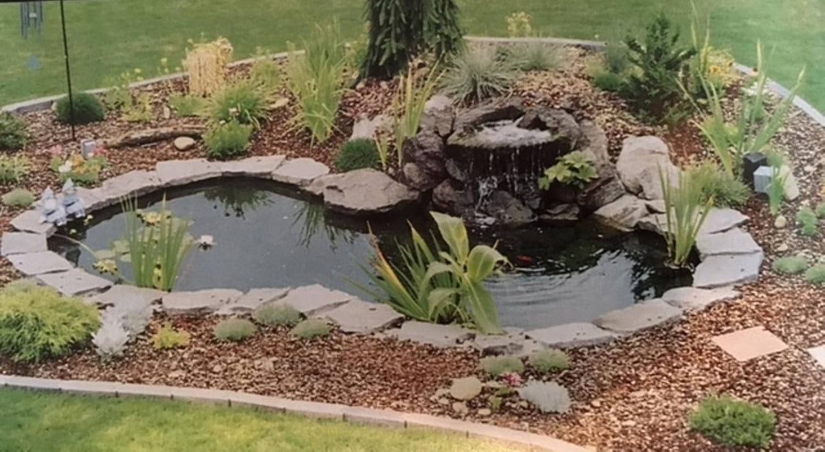 Water Garden Fountain KIT with Liner & Pump 9' X 6' Liner & 5 Water Lilies H2507