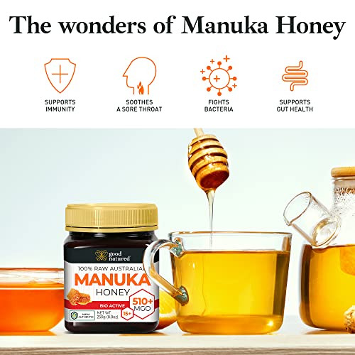 Manuka Honey MGO 850+ UMF 20+ Raw Organic 250g E315