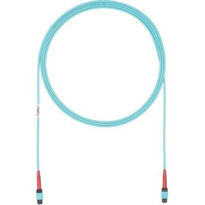 Fiber Optic Network Cable 44 ft R847
