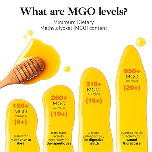 Manuka Honey MGO 850+ UMF 20+ Raw Organic 250g E315