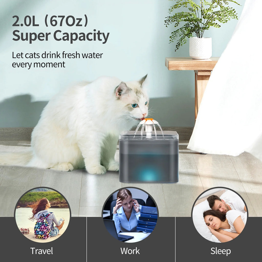 Black 2L Pet Water Fountain with Replacement Filters Q5013
