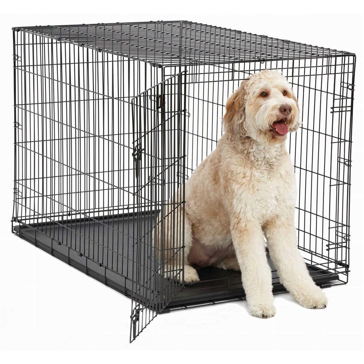Single Door Dog Crate X2561