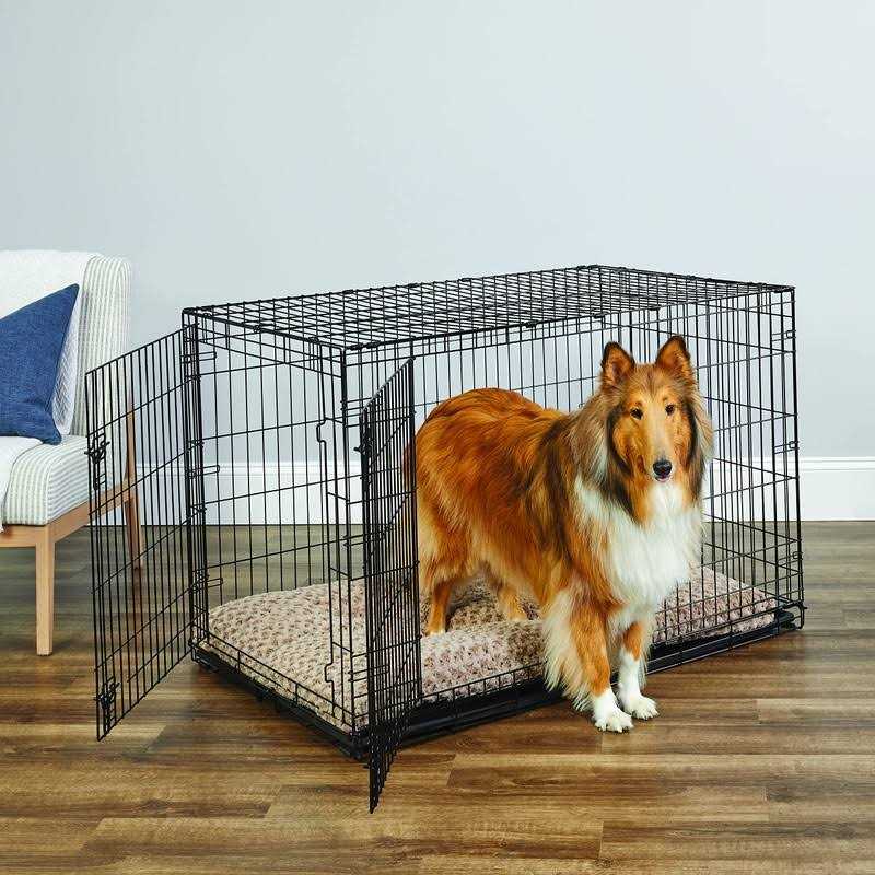 Single Door Dog Crate X2561