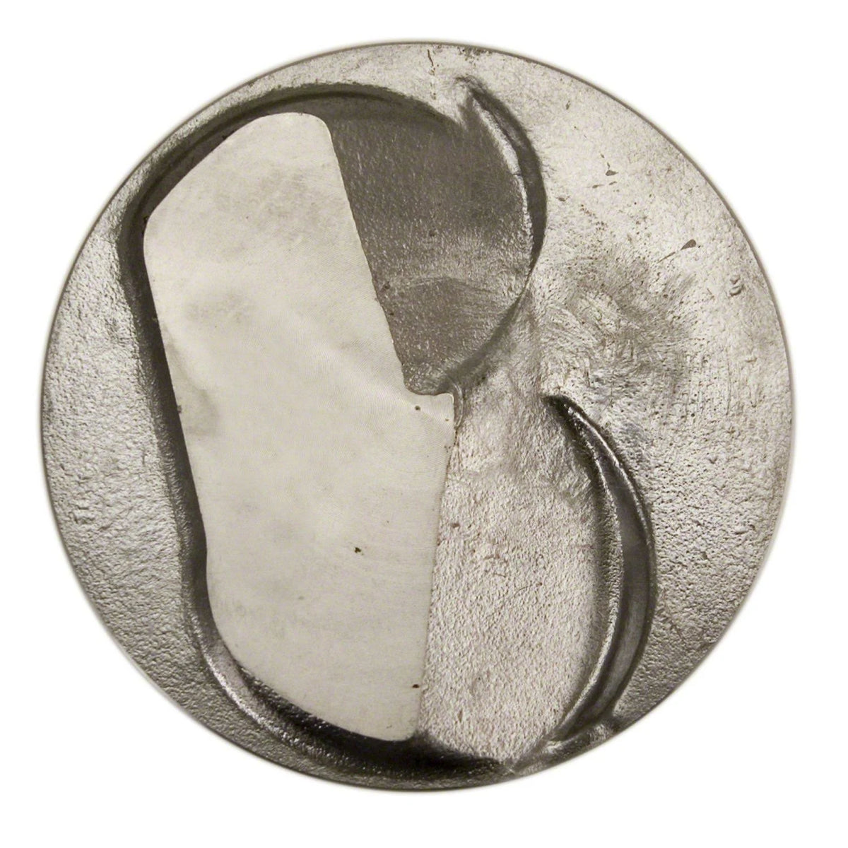 Cast Piston I316113