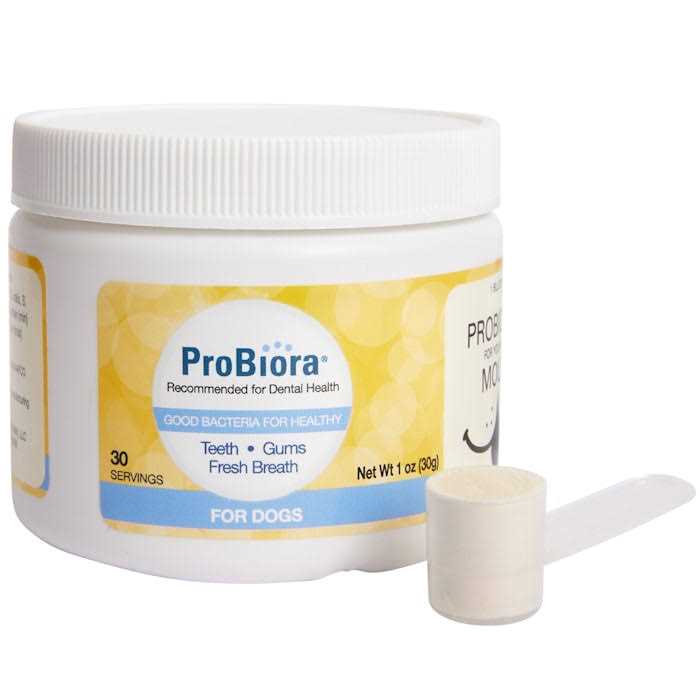 Probiotics for Your Dog’s Mouth G1143