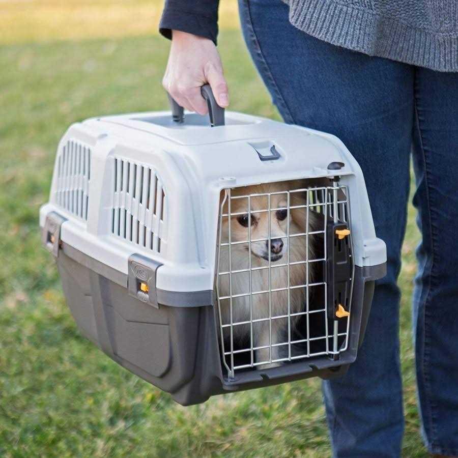 Plastic Travel Carrier B8437