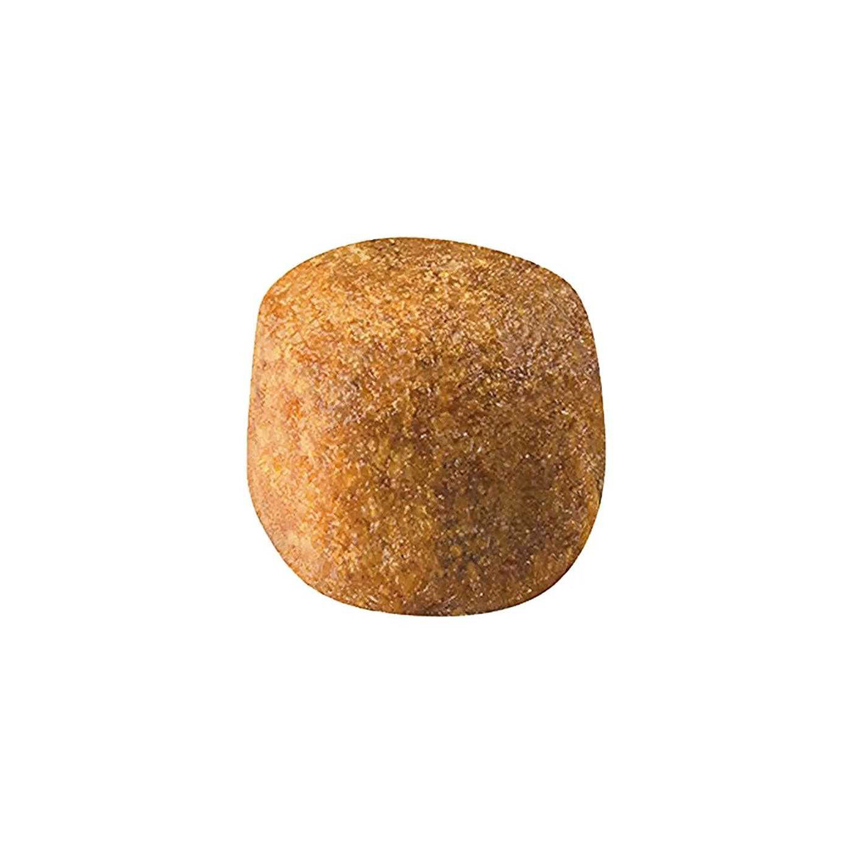Maine Coon Dry Cat Food G98929