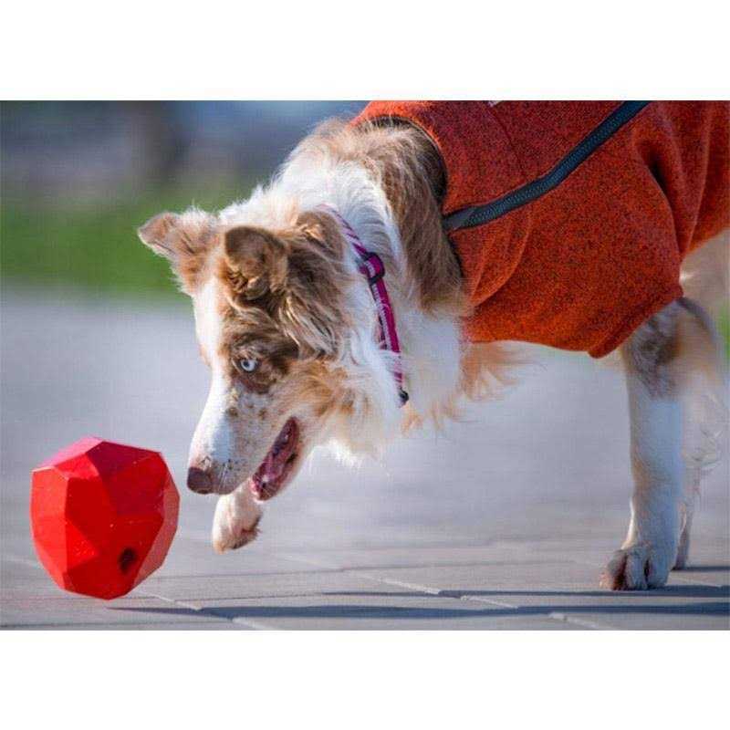 Dog Toy Y63601