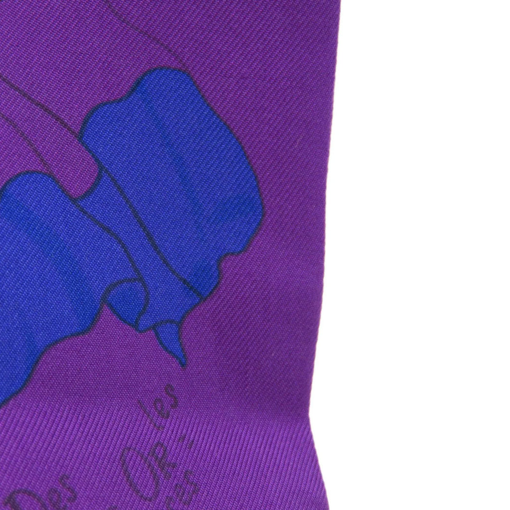 Silk Scarf D74456