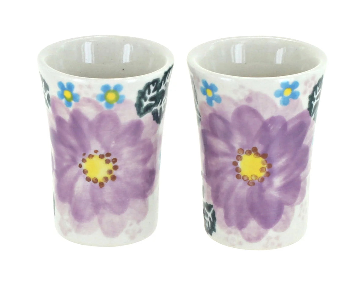 2 PC Shot Glass Set U33170