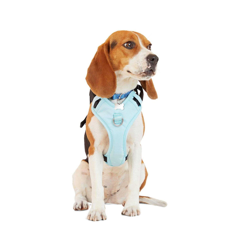 Teal Dog Harness U587