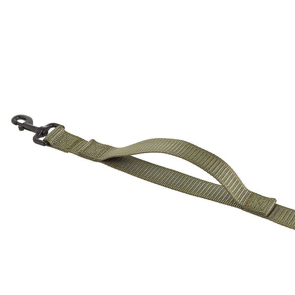 Dog Leash J3550