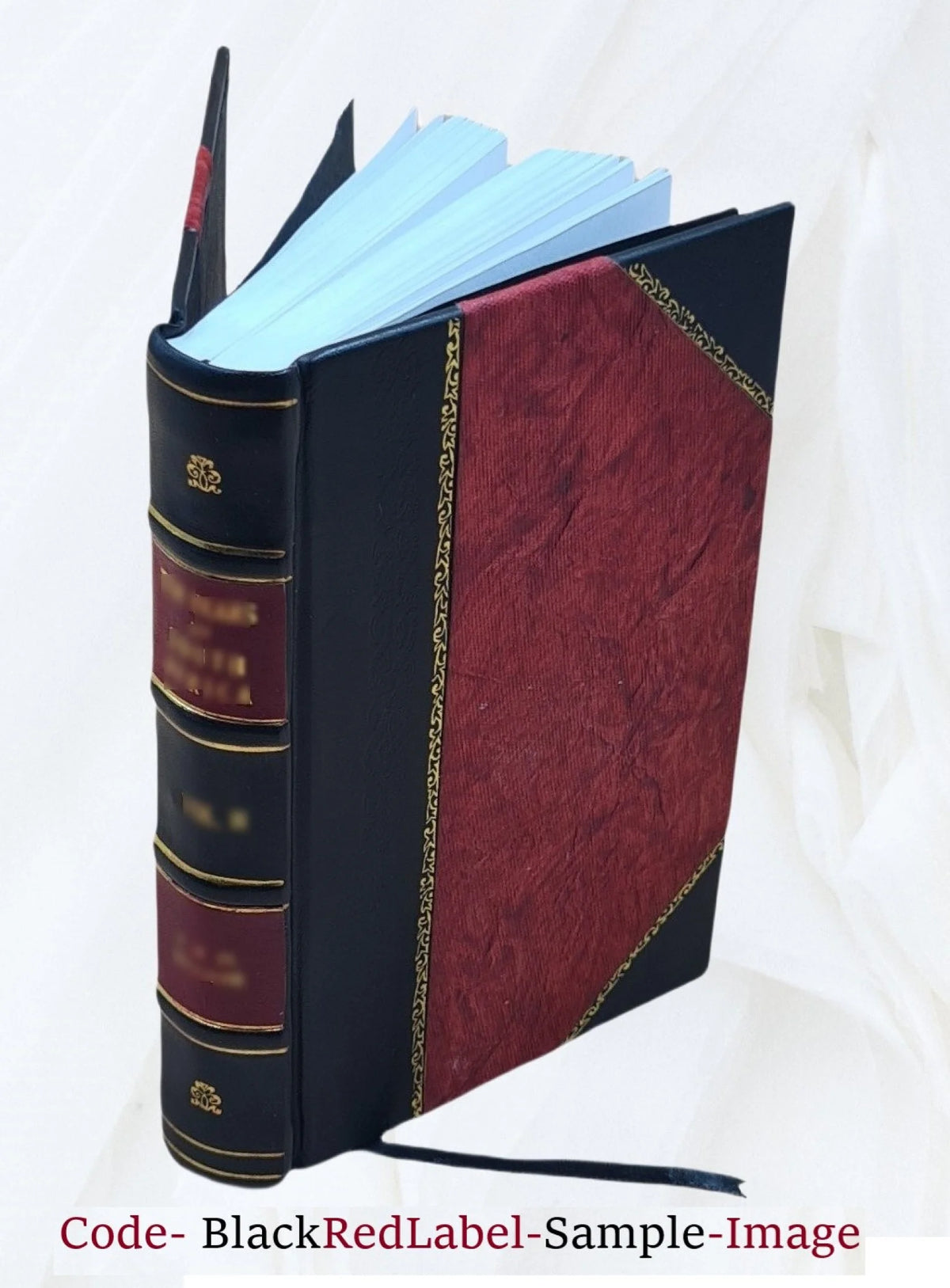 Leather Bound Book V493733